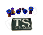Titanium Rear Sprocket Bolts - E-Moto - Burnt Blue / E-Ride Pro SS 3.0 and SR (Low-profile/ half-head) - Titanium Bolts