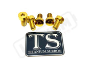 Titanium Rear Sprocket Bolts - E-Moto - Gold / E-Ride Pro SS 3.0 and SR (Low-profile/ half-head) - Titanium Bolts