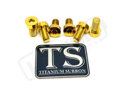 Titanium Rear Sprocket Bolts - E-Moto - Gold / Surron Ultra Bee (Half-head) - Titanium Bolts