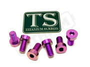Titanium Rear Sprocket Bolts - E-Moto - Purple / Surron Ultra Bee (Half-head) - Titanium Bolts