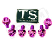 Titanium Rear Sprocket Bolts - E-Moto - Purple / Surron Ultra Bee (Hex-head) - Titanium Bolts