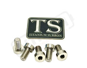 Titanium Rear Sprocket Bolts - E-Moto - Silver (raw) / E-Ride Pro SS 3.0 and SR (Low-profile/ half-head) - Titanium