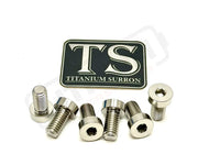 Titanium Rear Sprocket Bolts - E-Moto - Silver (raw) / Surron Ultra Bee (Half-head) - Titanium Bolts