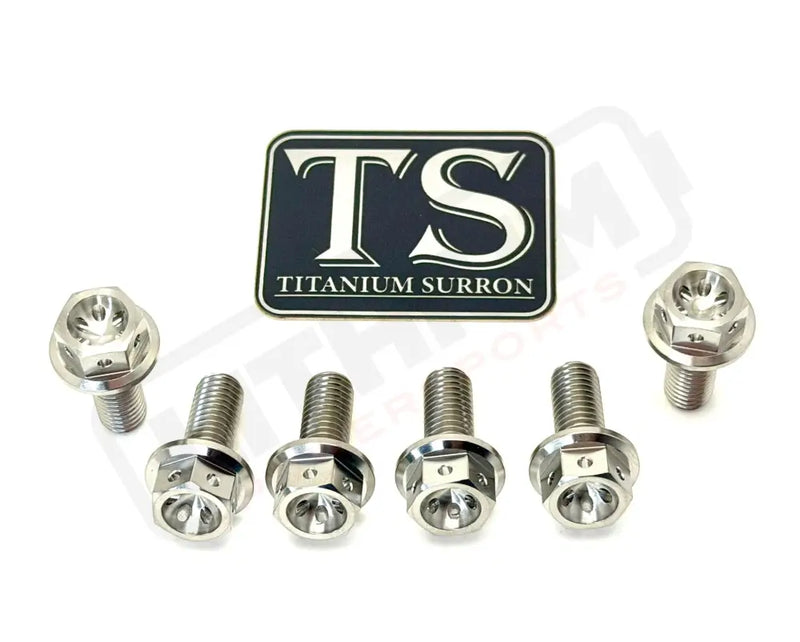 Titanium Rear Sprocket Bolts - E-Moto - Silver (raw) / Surron Ultra Bee (Hex-head) - Titanium Bolts
