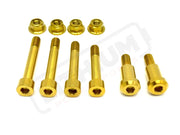 Titanium Rear Suspension/ Linkage Bolt Kit for Surron LBX & Segway X260 - Lithium Powersports