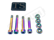 Titanium Rear Suspension/ Linkage Bolt Kit for Surron LBX & Segway X260 - Titanium Bolts