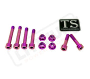 Titanium Rear Suspension/ Linkage Bolt Kit for Surron LBX & Segway X260 - Purple / With Triangle Bolts Excluding Frame