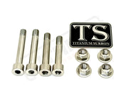 Titanium Rear Suspension/ Linkage Bolt Kit for Surron LBX & Segway X260 - Silver (raw) / No Triangle Bolts (4 Linkage/