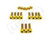 Titanium RFloXa Hawk 35 Pro and Max Fork Bolt Kits (21 pcs) - Gold - Titanium Bolts