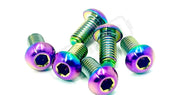 Titanium Rotor Bolts - Ultra Bee Rainbow / Front Rotor Screws