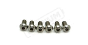 Titanium Rotor Bolts - Ultra Bee Silver (raw) / Front Rotor Screws