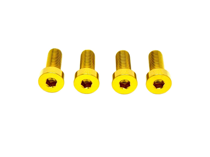 TS Talaria XXX Seat Subframe or Foot Peg Titanium Bolts (4)