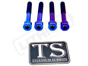 Titanium Stem Bolt Kit Altis Sigma (4 pcs) - Burnt Blue - Titanium Hardware