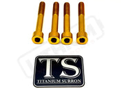 Titanium Stem Bolt Kit Altis Sigma (4 pcs) - Gold - Titanium Hardware