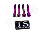 Titanium Stem/ Handlebar Mount Bolts - E-moto Handlebar/ Stem (Complete Set) / Purple / Altis Handlebar Titanium Bolts