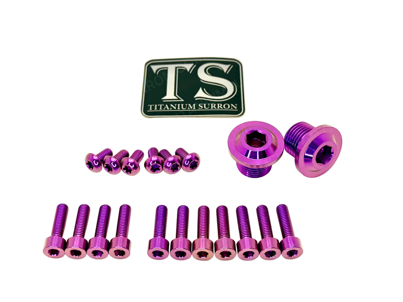 TS Titanium DNM/ KKE Fork Bolt Kits