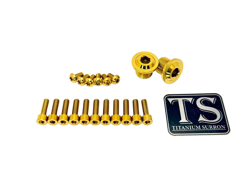 TS Titanium DNM/ KKE Fork Bolt Kits