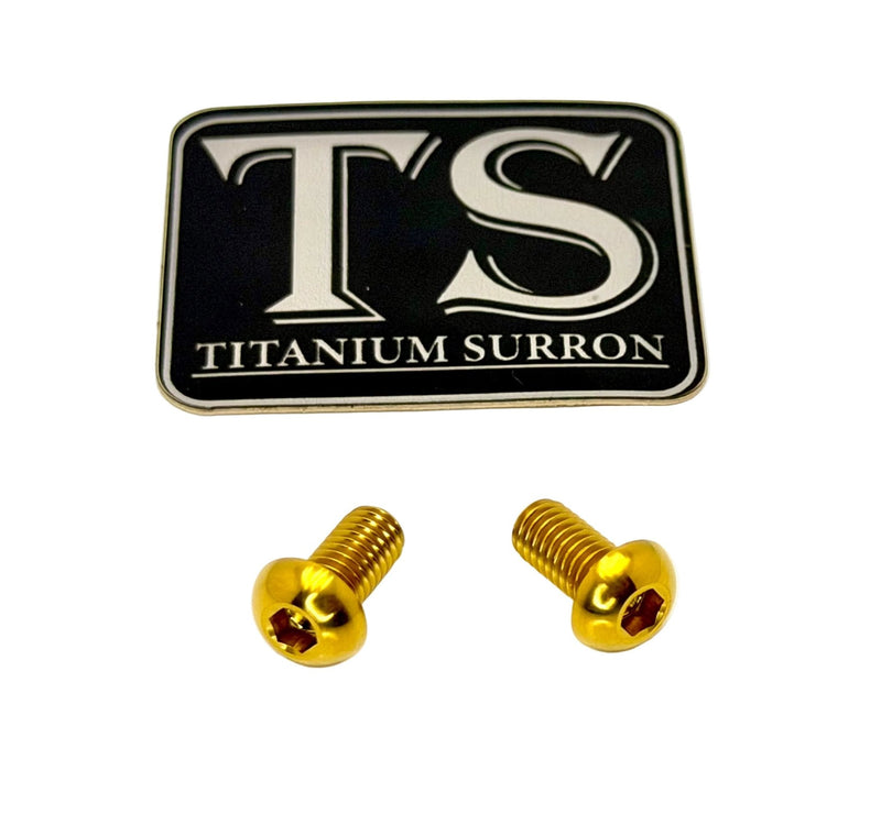 TS Titanium Ignition Cover Bolts (Set of Two) Surron, Segway, Similar E-moto