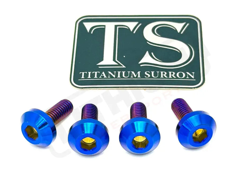 Titanium Surron Ultra Bee Brake Hand Guard Bolts - Two Brake Hand Guards (4 bolts) / Burnt Blue - Titanium Hardware