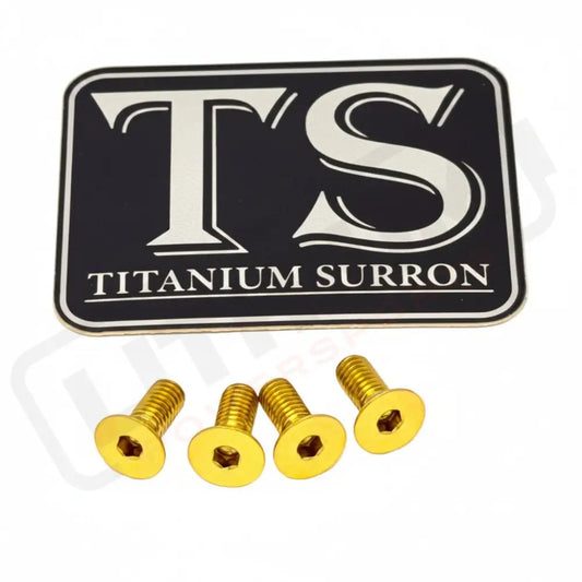 Titanium Surron Ultra Bee Brake Reservoir Cap Bolts - Gold / 4 bolts (two brake handles) - Titanium Bolts