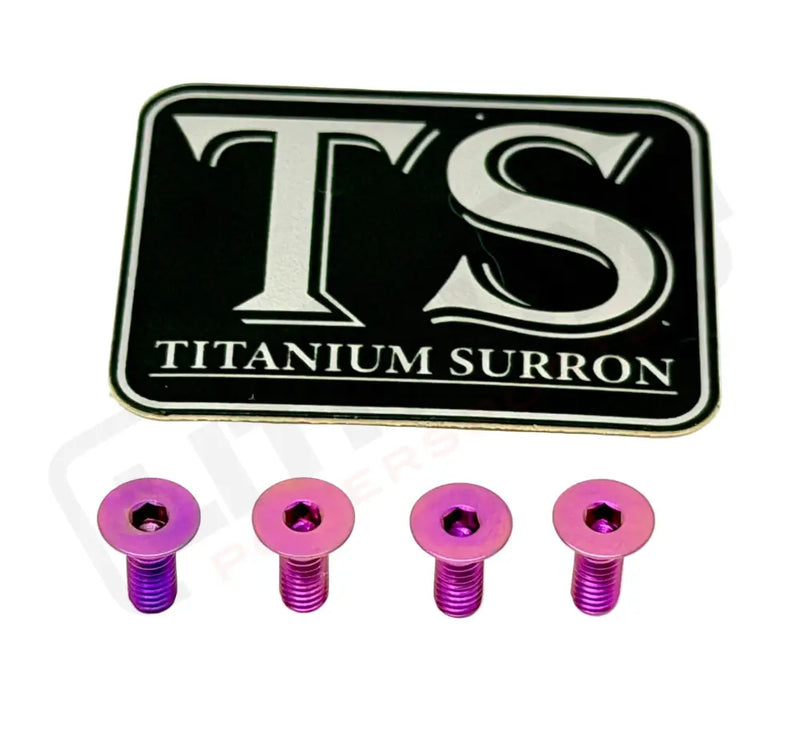 Titanium Surron Ultra Bee Brake Reservoir Cap Bolts - Purple / 4 bolts (two brake handles) - Titanium Bolts