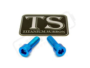 Titanium Surron Ultra Bee Headlight Bracket bolts by Prickly for Baja Squadron - Teal - Titanium Hardware