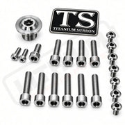 Titanium Surron Ultra Bee OEM Fork Bolt Kit - Titanium Bolts