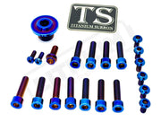 Titanium Surron Ultra Bee OEM Fork Bolt Kit - Burnt Blue - Titanium Bolts