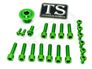 Titanium Surron Ultra Bee OEM Fork Bolt Kit - Green - Titanium Bolts