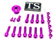 Titanium Surron Ultra Bee OEM Fork Bolt Kit - Purple - Titanium Bolts