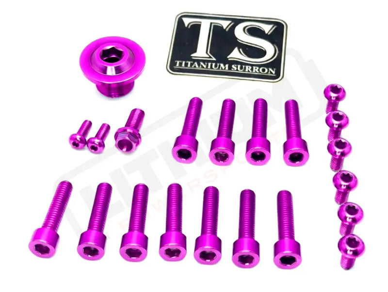 Titanium Surron Ultra Bee OEM Fork Bolt Kit - Purple - Titanium Bolts