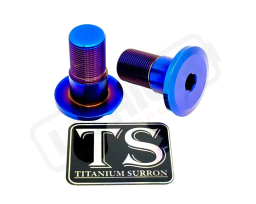 Titanium Talaria Sting Swingarm Bolts (set of two) - Burnt Blue - Titanium Bolts