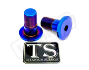 Titanium Talaria Sting Swingarm Bolts (set of two) - Lithium Powersports
