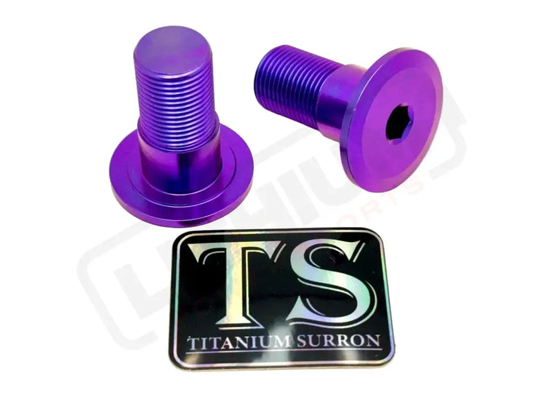 Titanium Talaria Sting Swingarm Bolts (set of two) - Deep Purple - Titanium Bolts