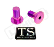 Titanium Talaria Sting Swingarm Bolts (set of two) - Purple (light purple) - Titanium Bolts