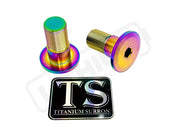 Titanium Talaria Sting Swingarm Bolts (set of two) - Rainbow - Titanium Bolts