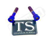Titanium Triangle Bolts - Surron LBX/ Segway - Burnt Blue / LBX - Socket Head - 2 Bolts - Titanium Hardware