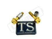 Titanium Triangle Bolts - Surron LBX/ Segway - Gold / LBX - Hex Head - 2 Bolts and 2 Frame Bushing Inner Sleeves