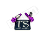 Titanium Triangle Bolts - Surron LBX/ Segway - Purple / LBX - Hex Head - 2 Bolts and 2 Frame Bushing Inner Sleeves