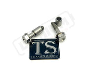 Titanium Triangle Bolts - Surron LBX/ Segway - Silver (raw) / LBX - Hex Head - 2 Bolts and 2 Frame Bushing Inner