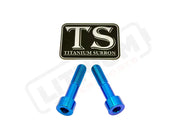 Titanium Triangle Bolts - Surron LBX/ Segway - Teal / LBX - Socket Head - 2 Bolts - Titanium Hardware