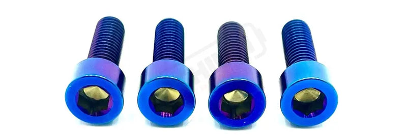 TS AHX12RV (3.0) FastAce Fork Titanium Axle Pinch Bolts - Lithium Powersports