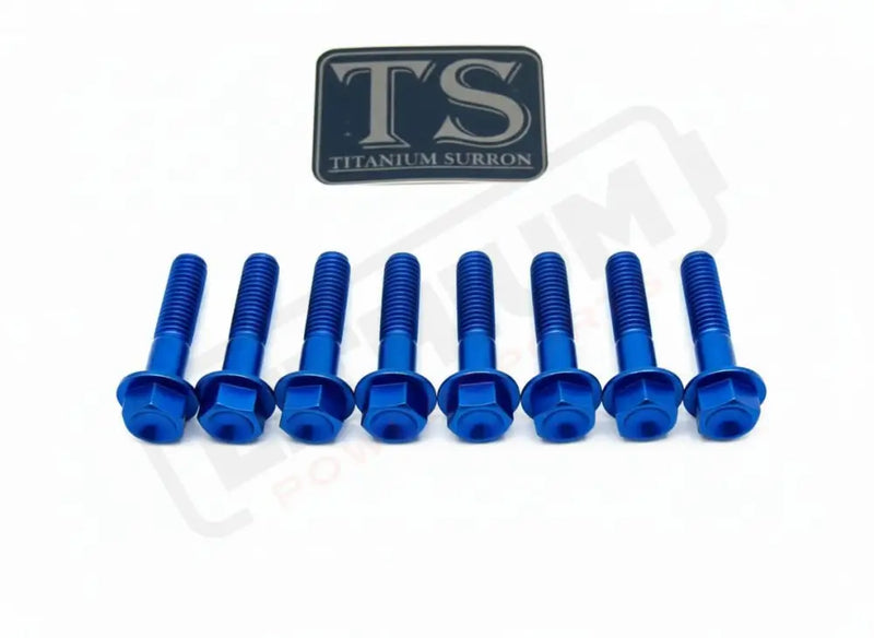 TS Altis Sigma Gearbox Cover Titanium Bolt Kit - Blue / 8 Pieces / Hex Flange - Titanium Bolts