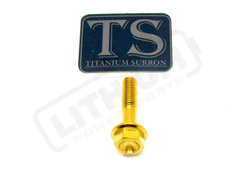 TS Altis Sigma Gearbox Cover Titanium Bolt Kit - Titanium Bolts