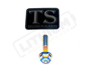 TS Altis Sigma Gearbox Cover Titanium Bolt Kit - Titanium Bolts