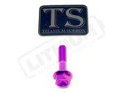 TS Altis Sigma Gearbox Cover Titanium Bolt Kit - Titanium Bolts