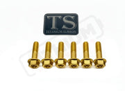 TS Altis Sigma Gearbox Cover Titanium Bolt Kit - Gold / 6 Pieces (Visible Bolts Only) / Hex Flange - Titanium Bolts