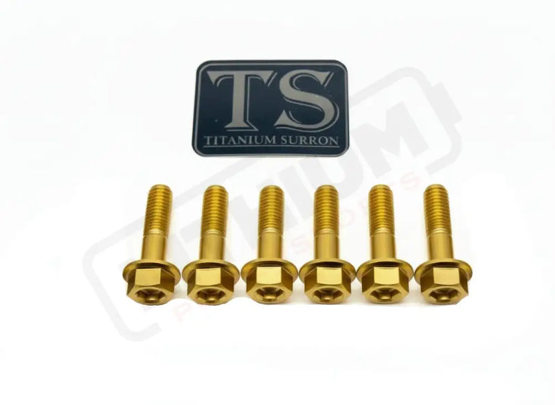 TS Altis Sigma Gearbox Cover Titanium Bolt Kit - Gold / 6 Pieces (Visible Bolts Only) / Hex Flange - Titanium Bolts