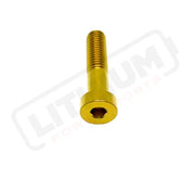 TS Altis Sigma Gearbox Cover Titanium Bolt Kit - Gold / 8 Pieces / Socket Cap - Titanium Bolts