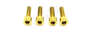 TS Axle Pinch Titanium Bolts for EXT Ferro Fork - Lithium Powersports